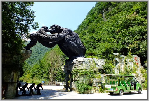 宜昌神農架旅游線路預定