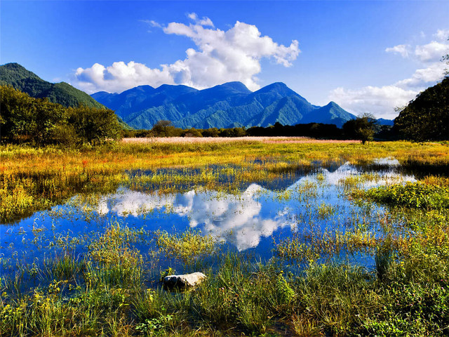 宜昌神農架旅游直通車