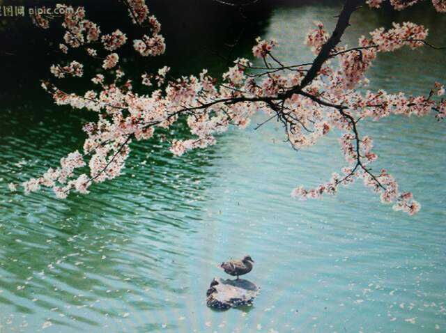 長江三峽精華景點旅游