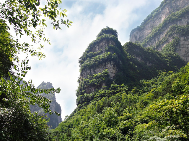 宜昌三峽竹海生態風景區電話