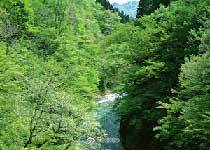 宜都宋山森林公園指南