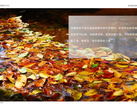 宜昌西塞國(guó)森林公園旅游指南 宜昌西塞國(guó)森林公園旅游指南