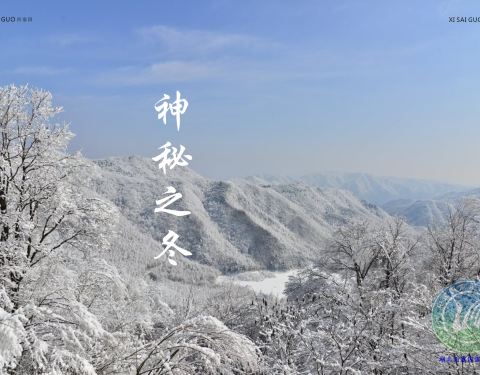 宜昌西塞國(guó)森林公園旅游指南