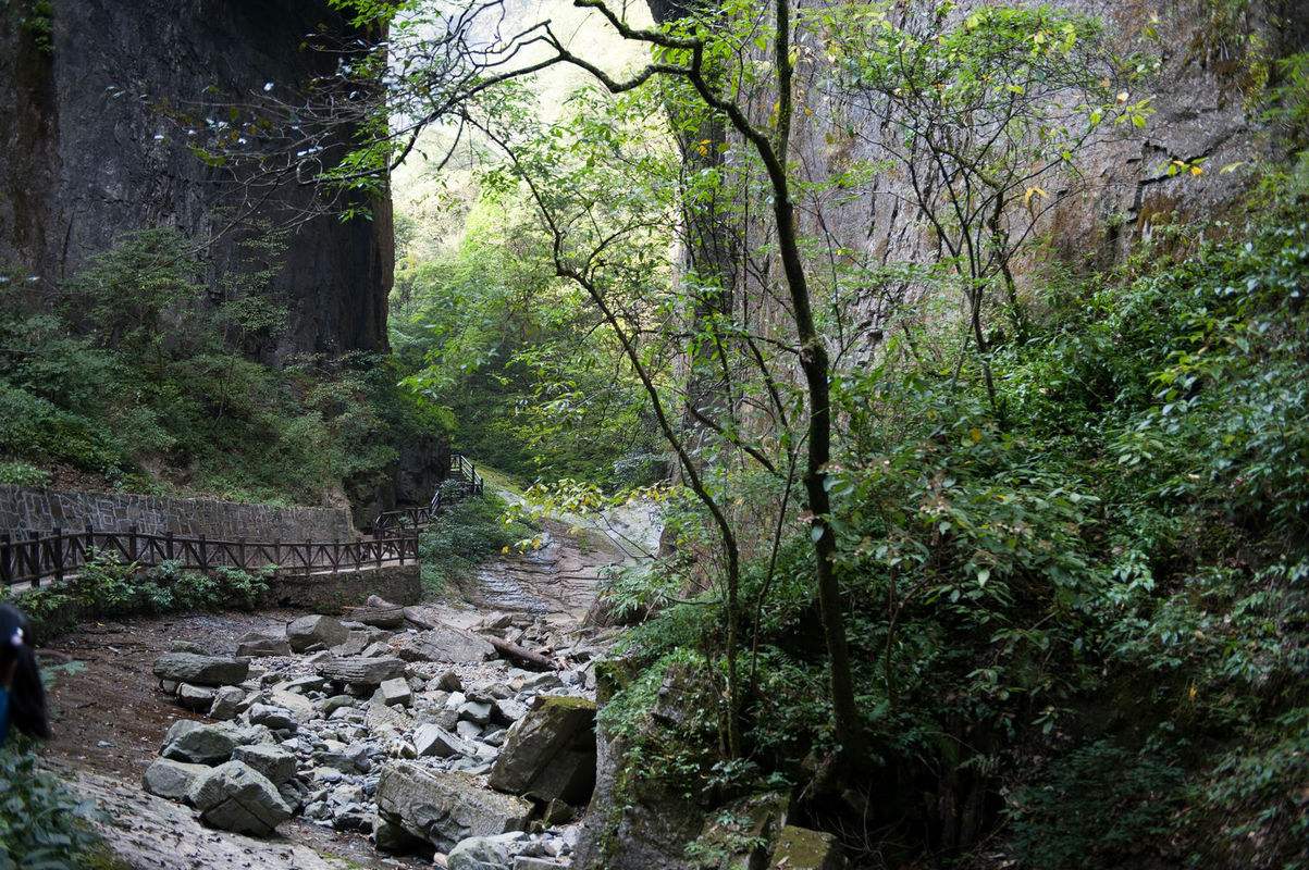 恩施咸豐坪壩營生態旅游區指南