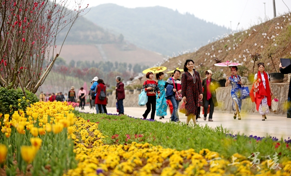 宜昌三峽龍泉湖咨詢中心