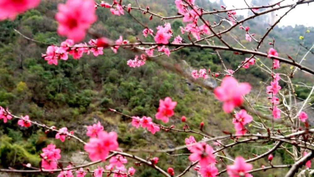 宜昌昭君旅游攻略 宜昌昭君旅游攻略