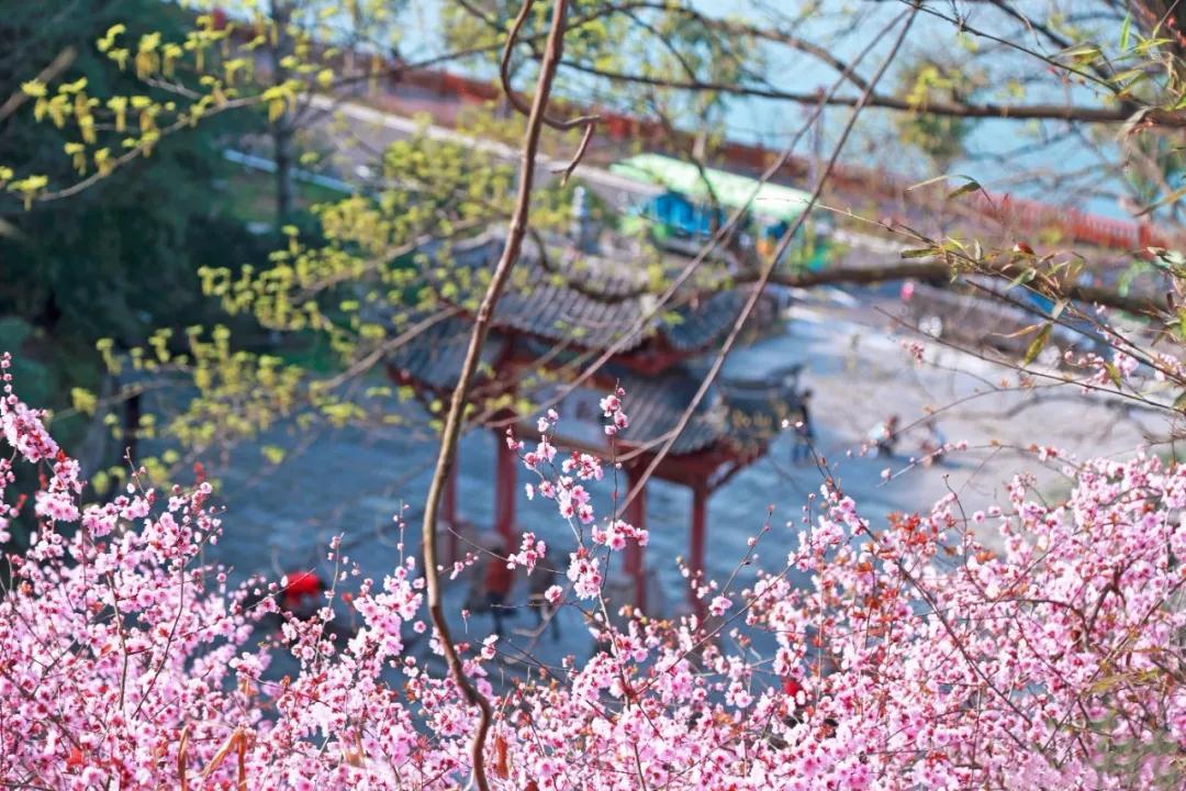 宜昌秭歸旅游 宜昌秭歸旅游