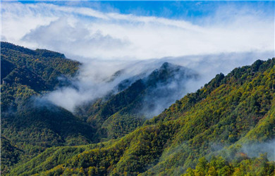 武漢到宜昌神農架旅游