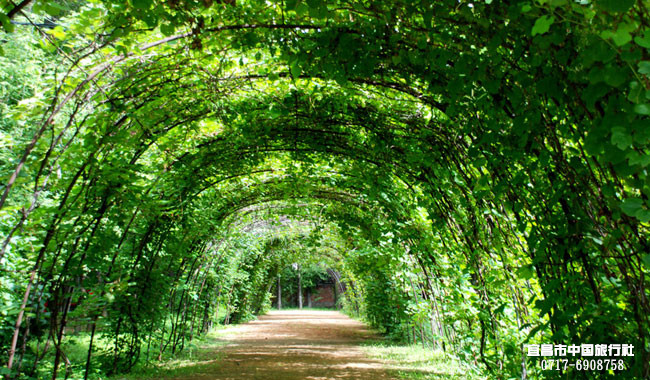 宜昌旅游年卡網 宜昌旅游年卡網