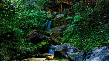 宜昌九鳳谷旅游直通車 宜昌九鳳谷旅游直通車