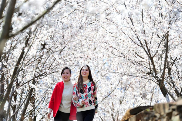 宜昌夷陵鄉村旅游