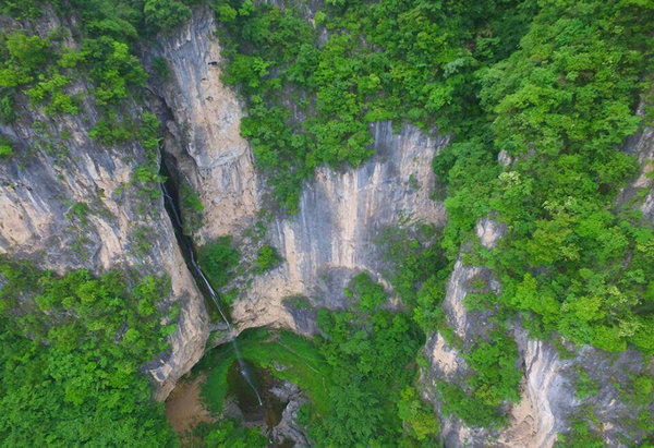 宜昌中亞楠木林大峽谷景區 