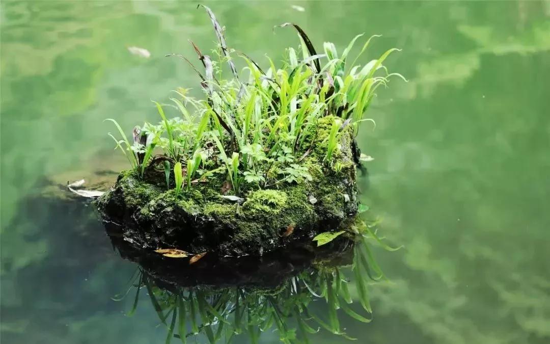 宜昌中亞楠木林大峽谷景區 