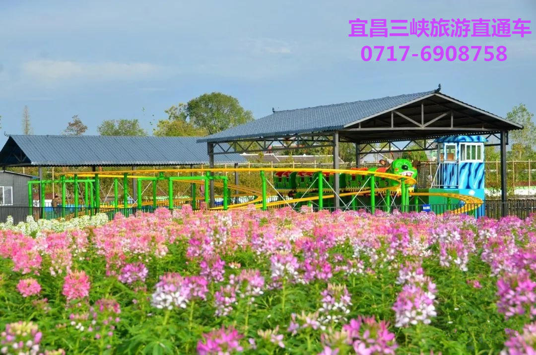 枝江同心花海旅游介紹