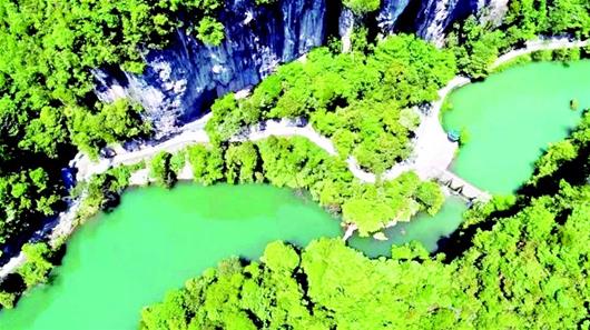 宜昌夷陵中亞楠木林游客中心