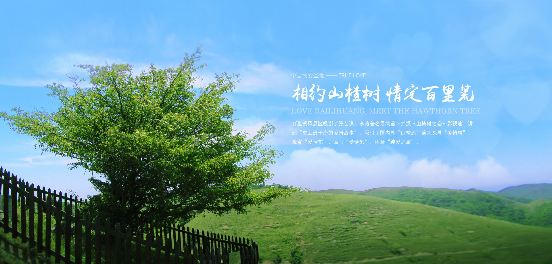 宜昌百里荒旅游直通車 宜昌百里荒旅游直通車