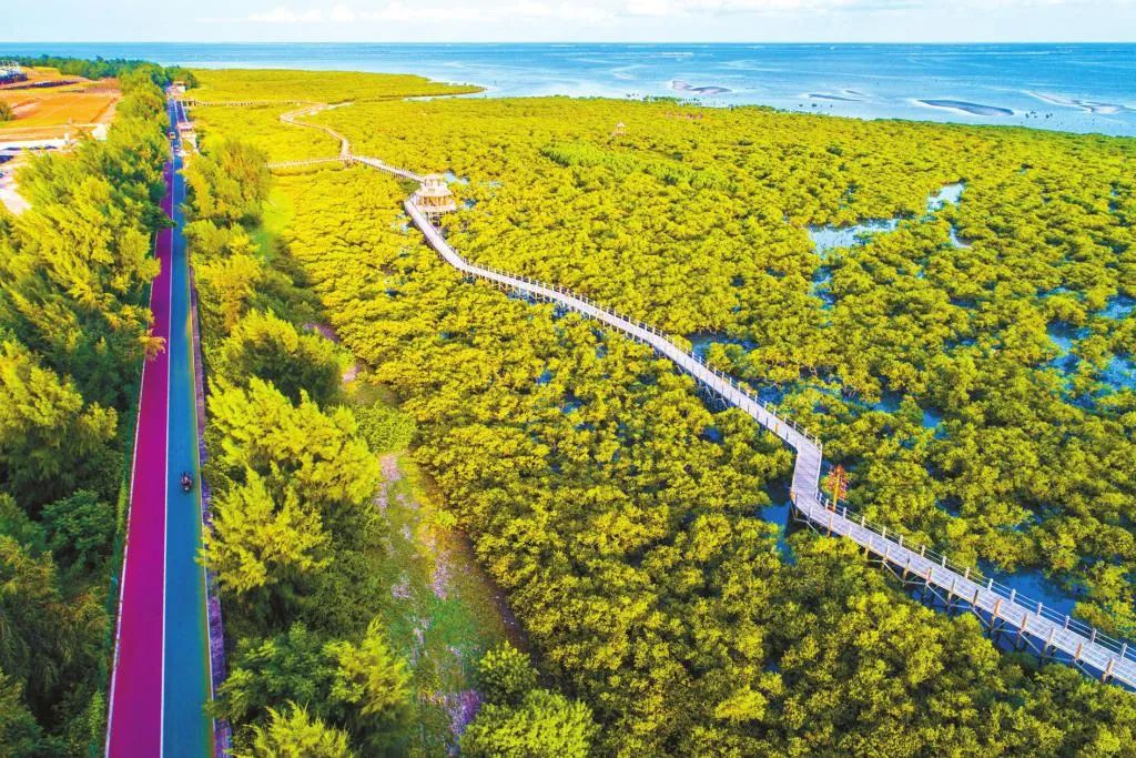 北海自助游攻略 北海自助游攻略