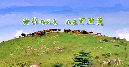 宜昌百里荒旅游線路預定