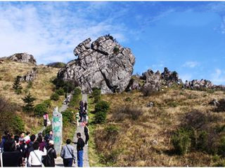 宜昌神農(nóng)溪神農(nóng)架旅游預(yù)訂