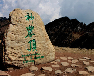 宜昌神農(nóng)架旅游直通車