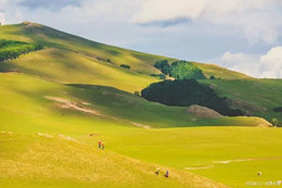 六盤水旅游集散中心 六盤水旅游集散中心