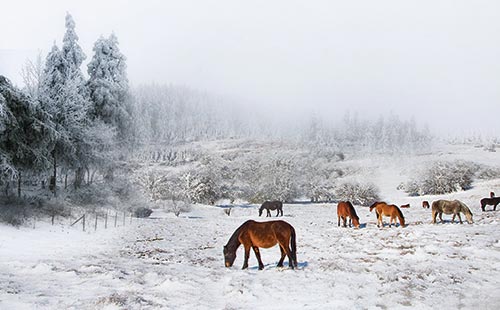 重慶周邊游玩景點推薦
