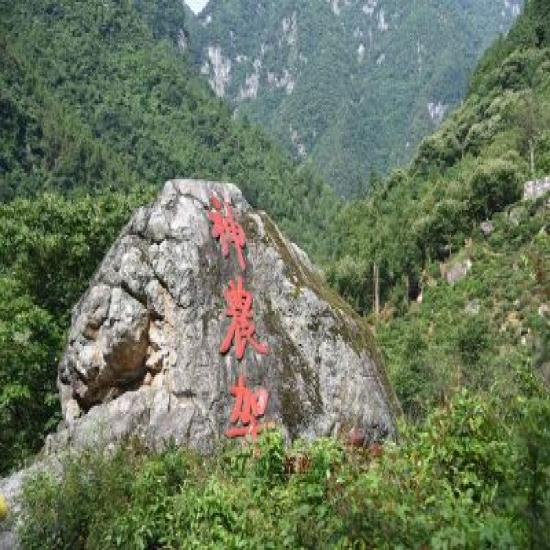 湖北各地到神農(nóng)架旅游交通指南_湖北自駕游旅游攻略