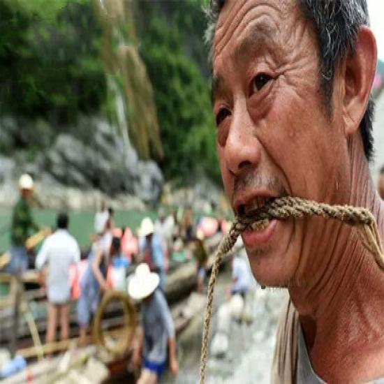 宜昌神農(nóng)溪大九湖神農(nóng)架三日游線路_宜昌神農(nóng)溪神農(nóng)架旅游攻略